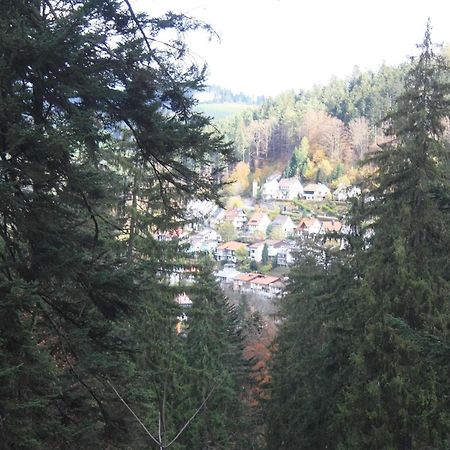 Relaxapartments Black Forest Diamond Direkt An Der Hornberger Freilichtbuehne - Sonnenterrasse Mit Blick Auf Das Hornberger Schloss, Schnelles Internet, Fuer Bis Zu 2 Personen Kültér fotó