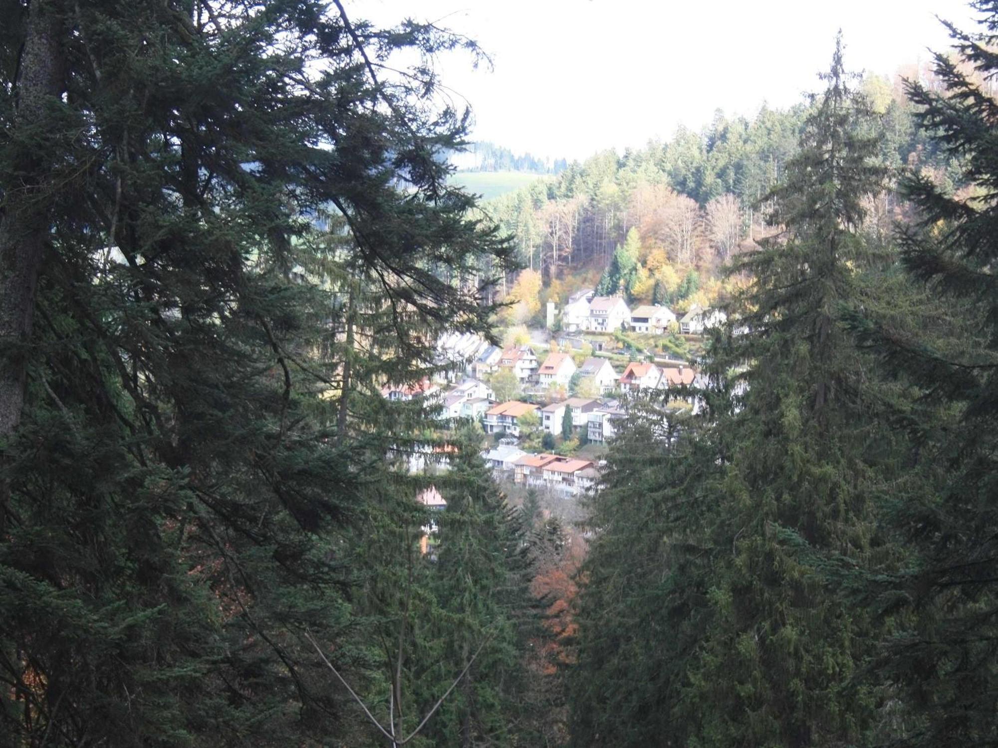 Relaxapartments Black Forest Diamond Direkt An Der Hornberger Freilichtbuehne - Sonnenterrasse Mit Blick Auf Das Hornberger Schloss, Schnelles Internet, Fuer Bis Zu 2 Personen Kültér fotó