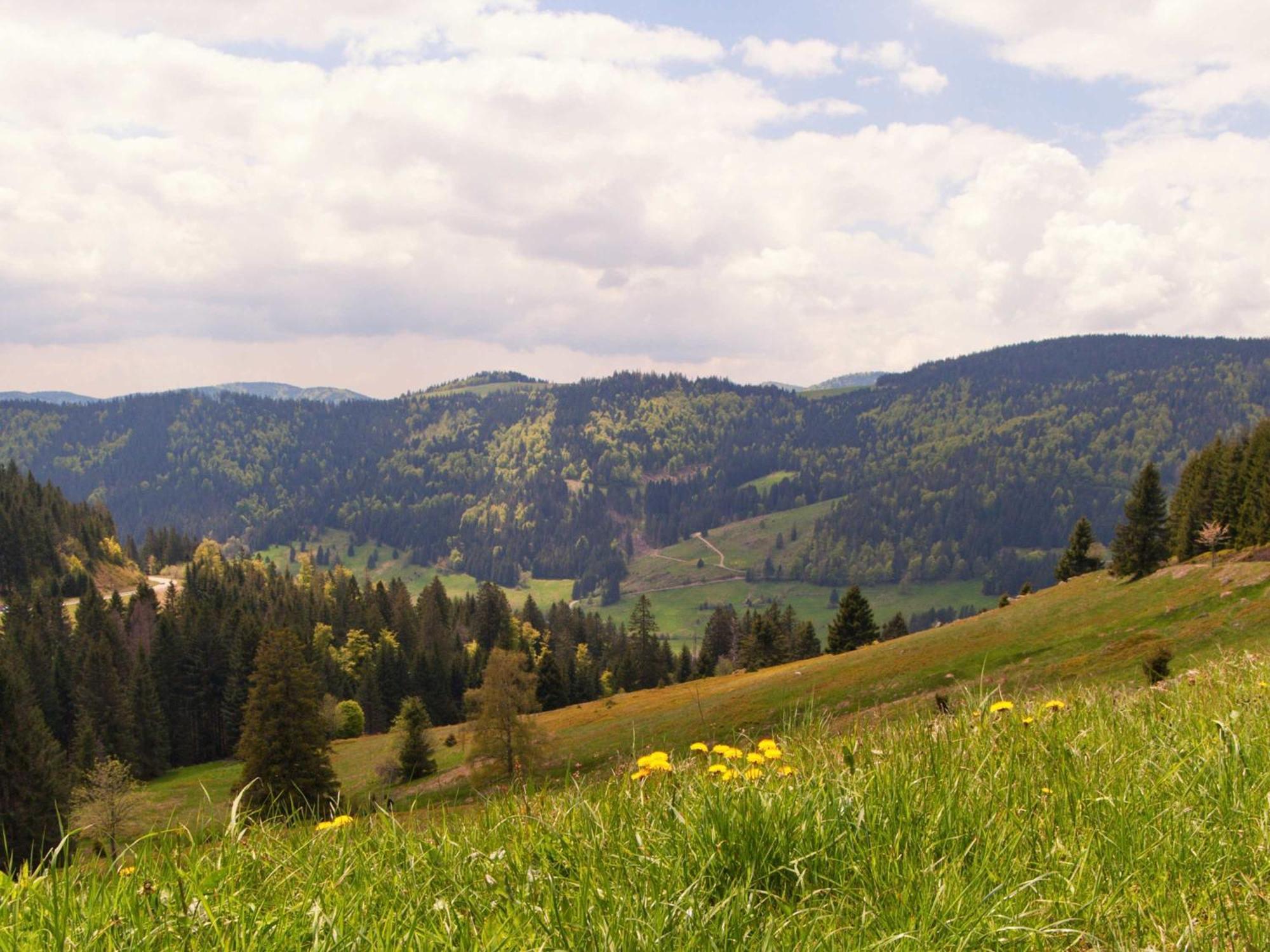 Relaxapartments Black Forest Diamond Direkt An Der Hornberger Freilichtbuehne - Sonnenterrasse Mit Blick Auf Das Hornberger Schloss, Schnelles Internet, Fuer Bis Zu 2 Personen Kültér fotó